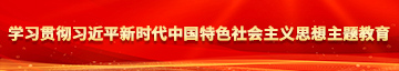 亚洲女人操比网学习贯彻习近平新时代中国特色社会主义思想主题教育